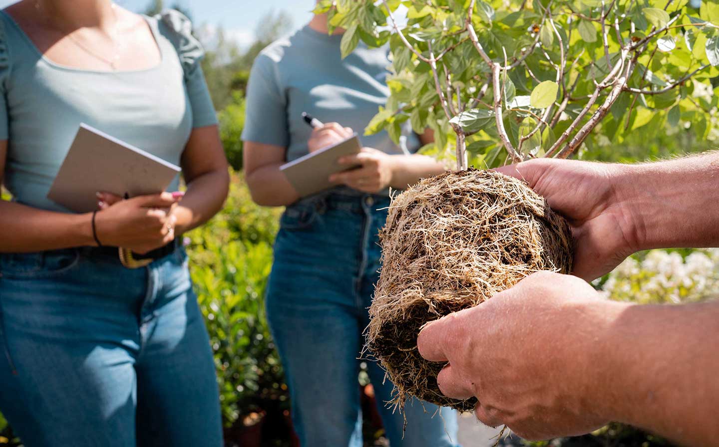 Cursus plantenkennis