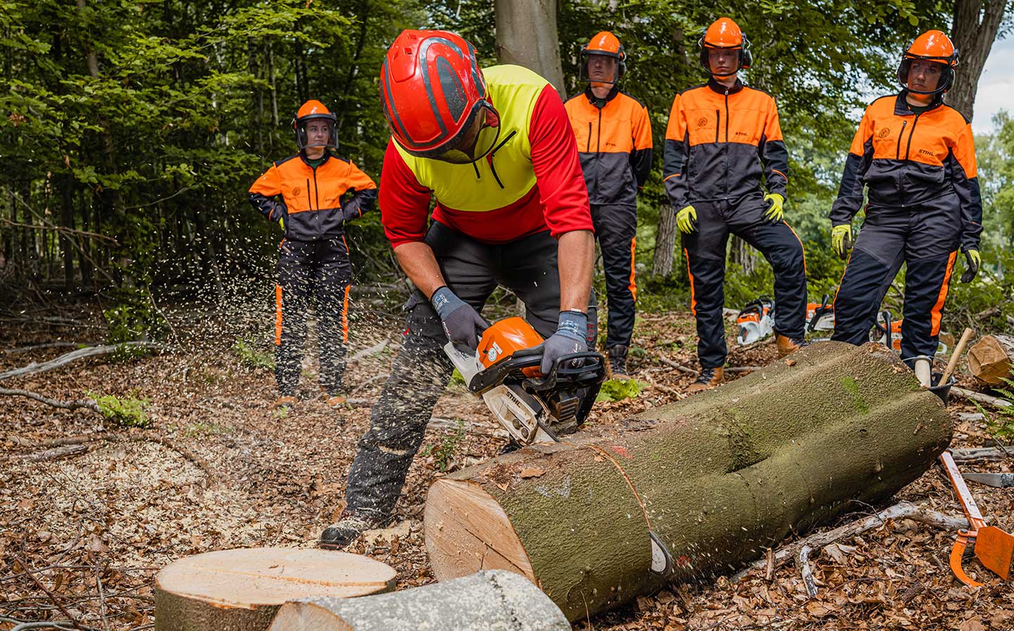 Cursus basis motorkettingzaag