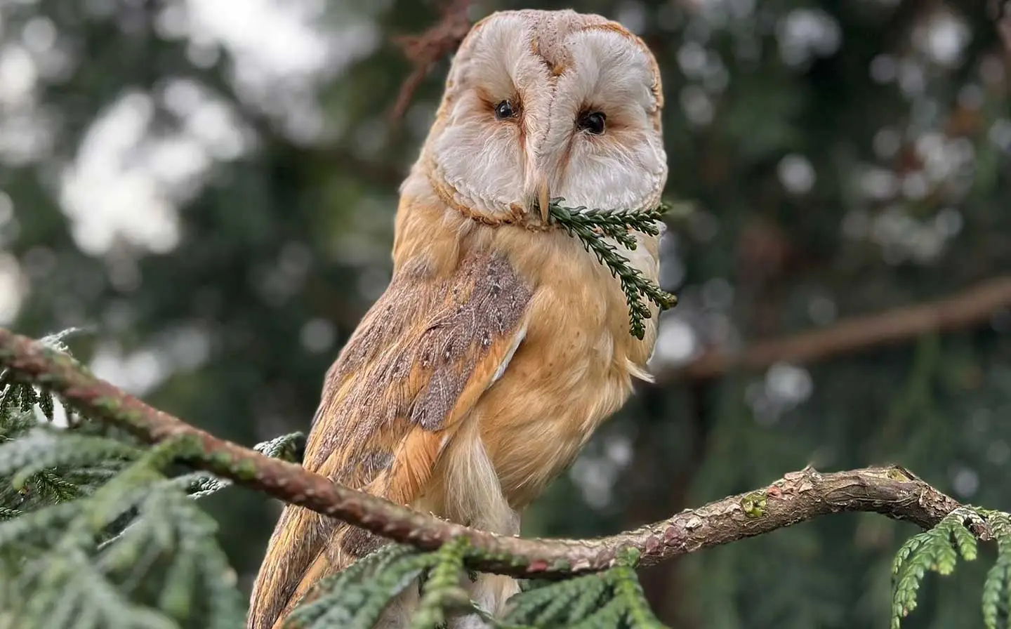 Cursus wet natuurbeschermen