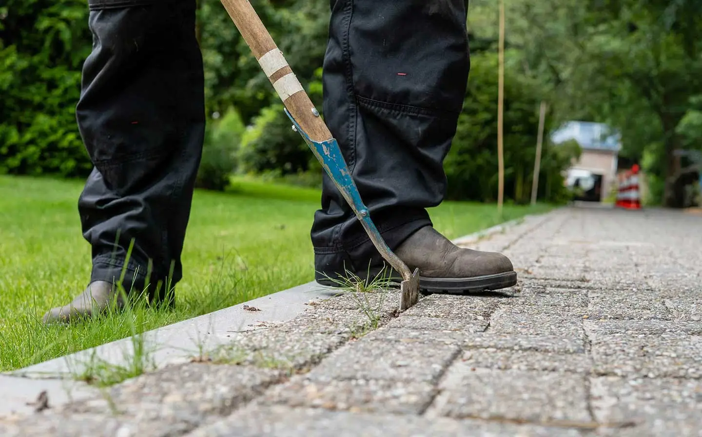 Cursus plantsoenonderhoud