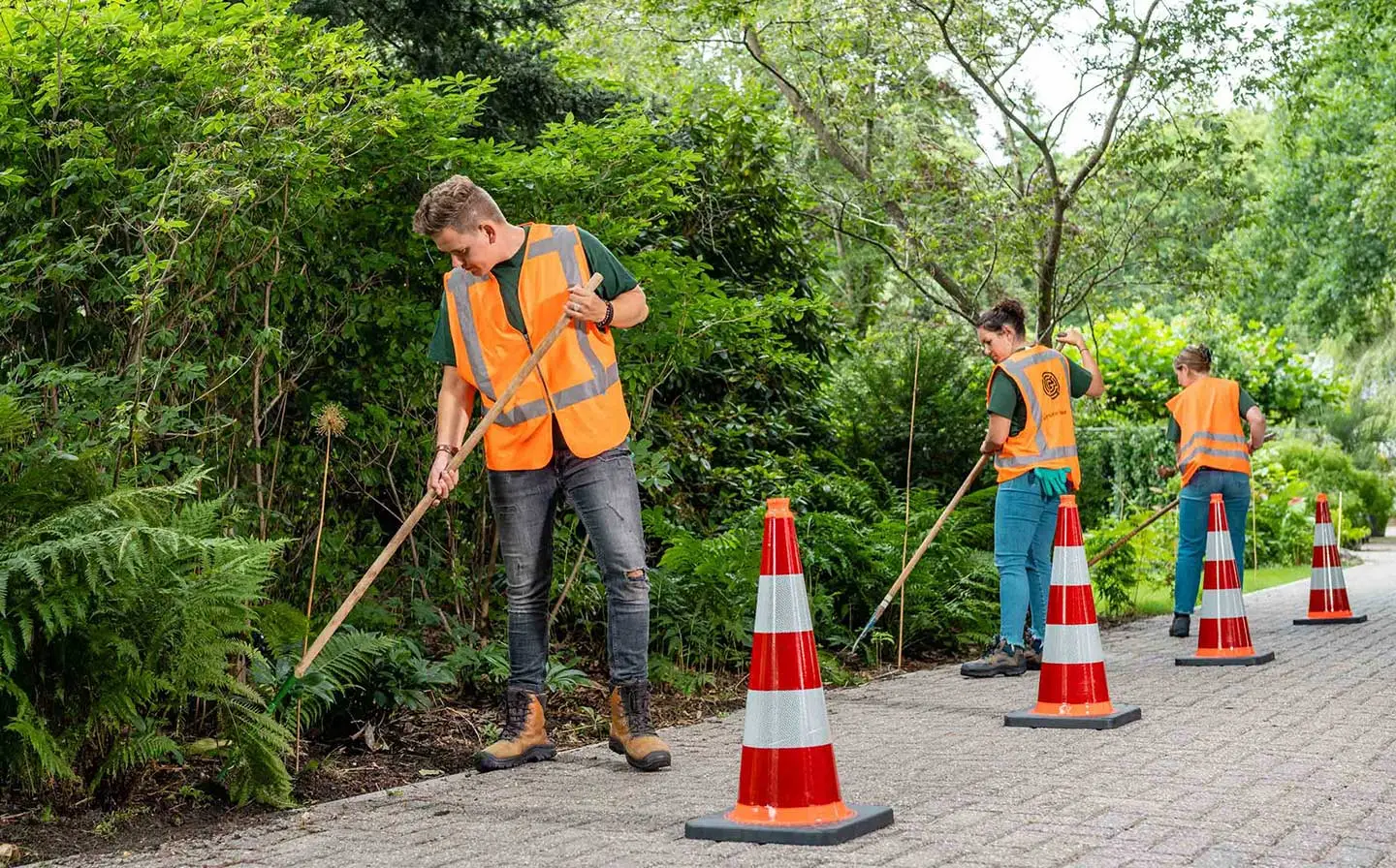 Cursus plantsoenonderhoud