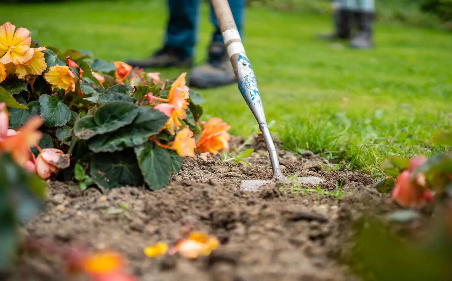 Cursus plantsoenonderhoud