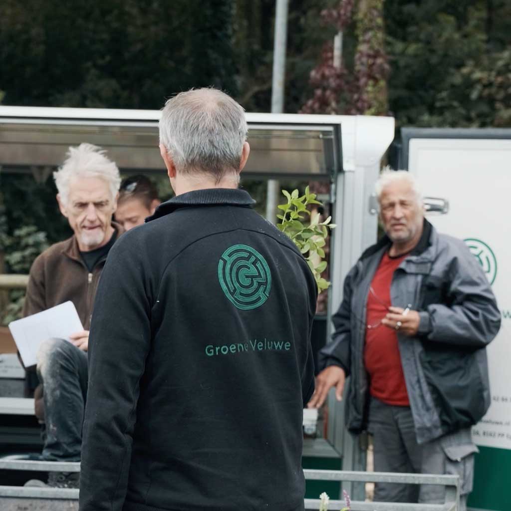 voorbeeld-798