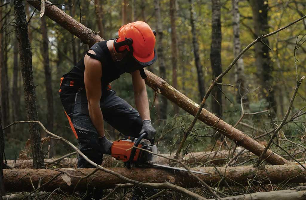 Cursus NKC bij de Groene Veluwe