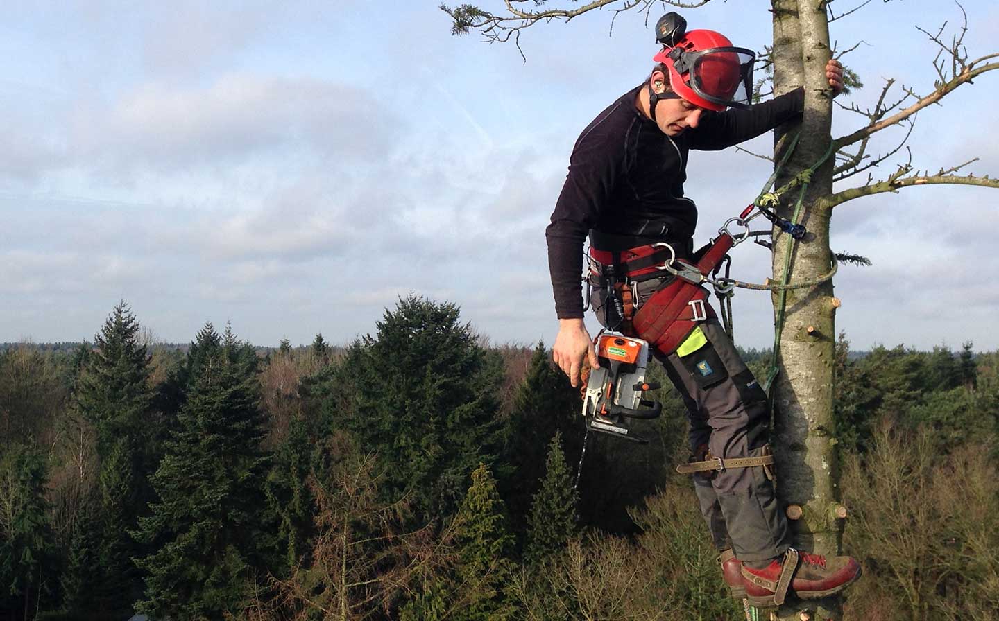 European Tree Worker Opleiding