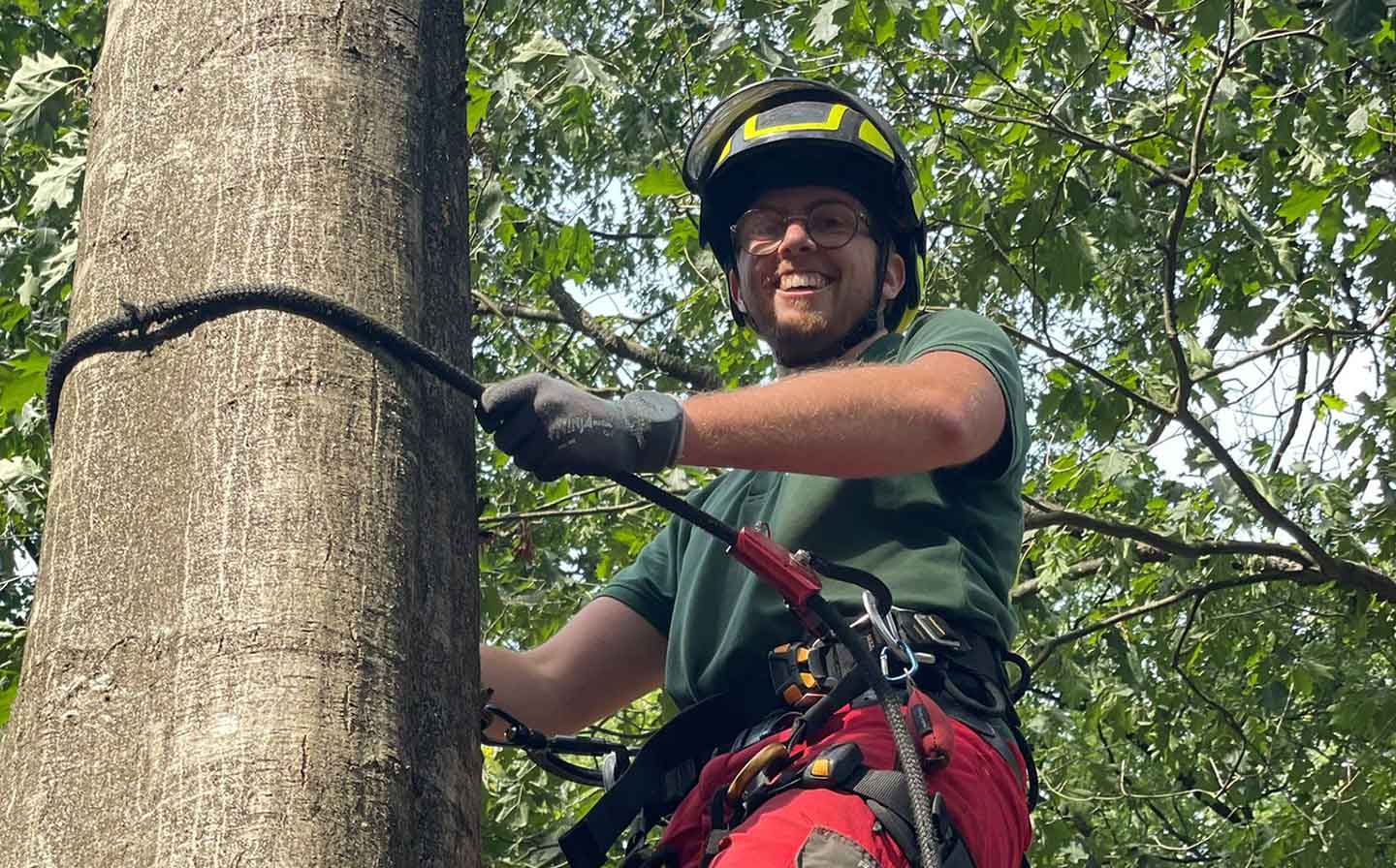 Cursus afbreken van bomen