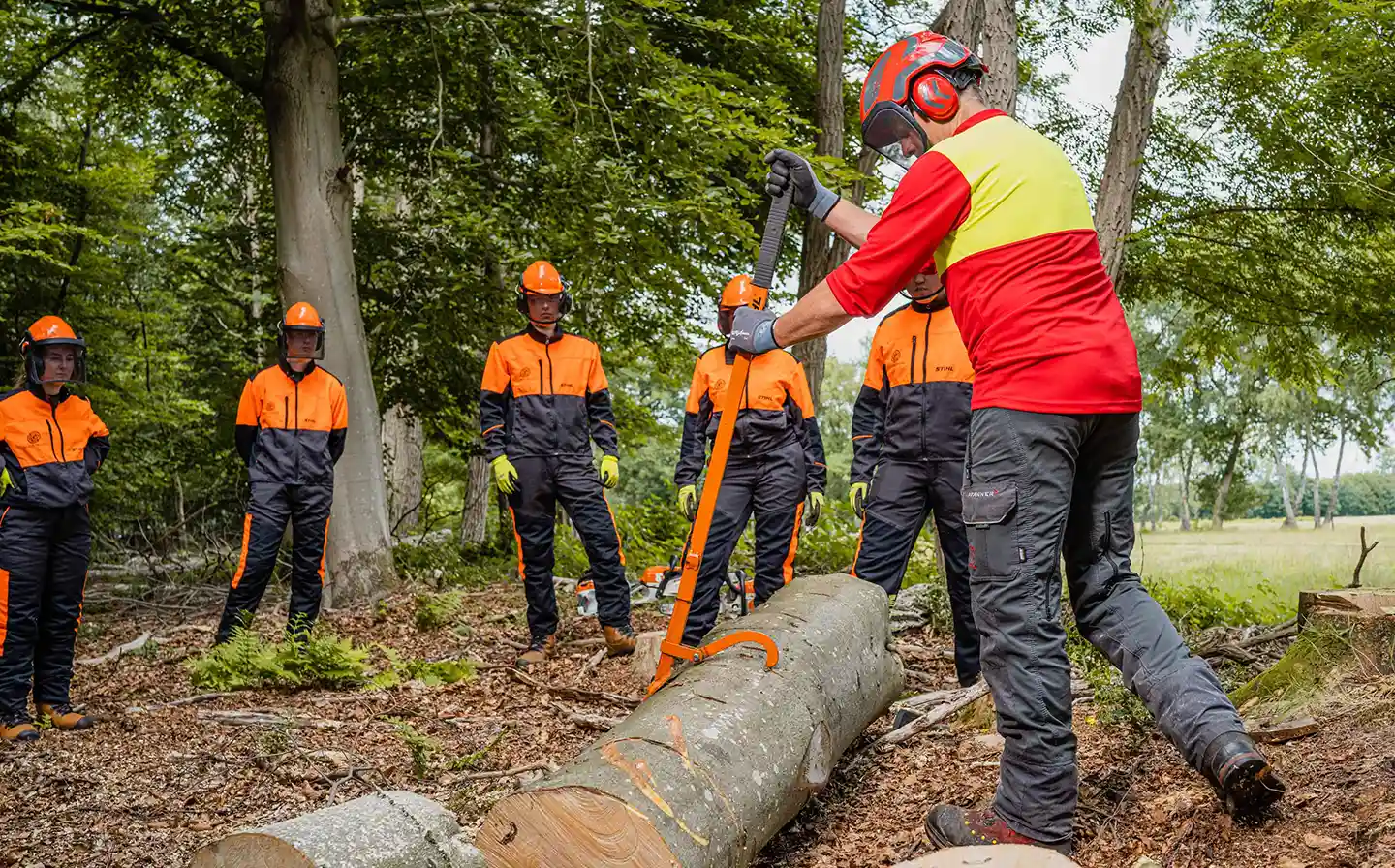 Cursus Krachtige leermeester - Basis