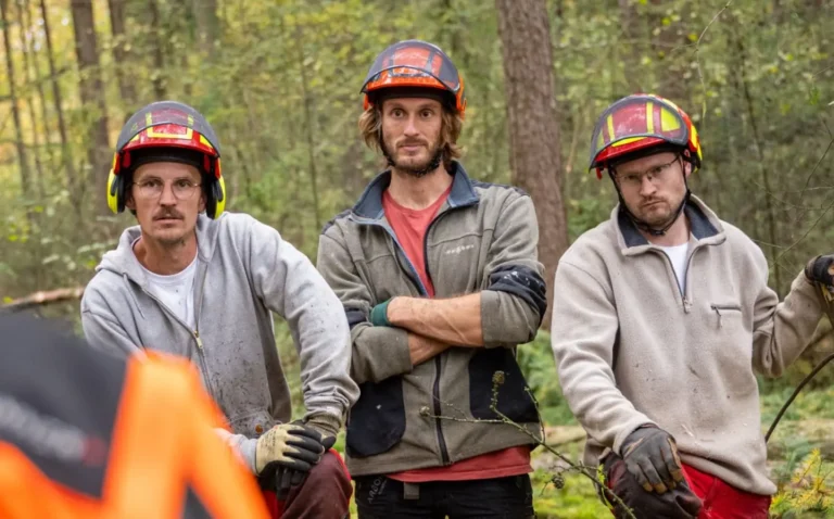 Opleiding Boomverzorger (European Tree Worker)